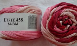 Linie 458 Salvia