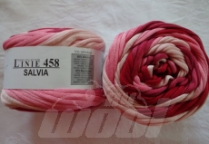 Linie 458: Salvia 102