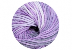 Linie 55: Montego color 208