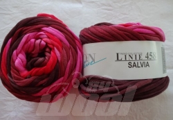 Linie 458: Salvia 105