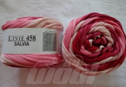 Linie 458: Salvia 102