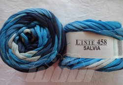 Linie 458: Salvia 103